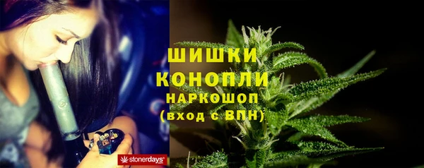 шишки Нефтекумск