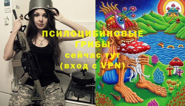 гашиш Надым