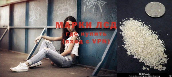 шишки Нефтекумск