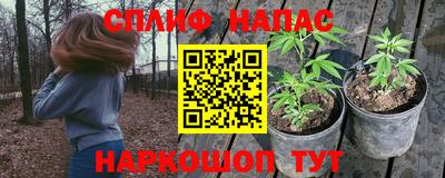 стафф Апшеронск