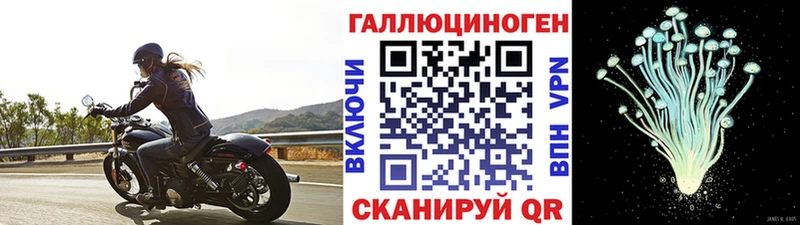 Псилоцибиновые грибы ЛСД  Каменка 