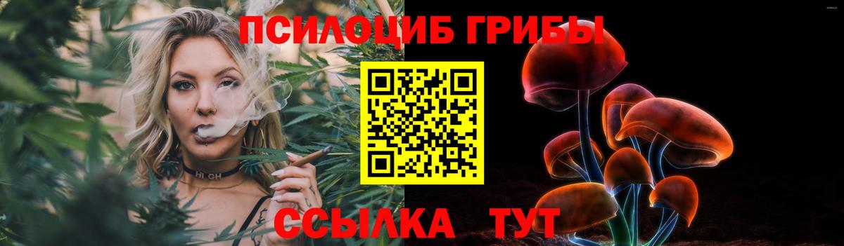 Каменка  Псилоцибиновые грибы Cubensis  Вход с VPN 